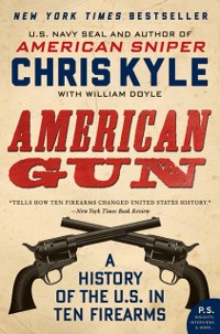 Cover American Gun