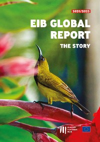 Cover EIB Global Report: The Story