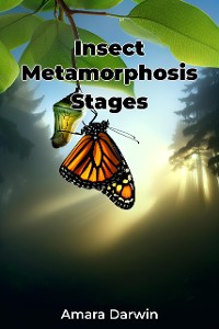 Cover Insect Metamorphosis Stages