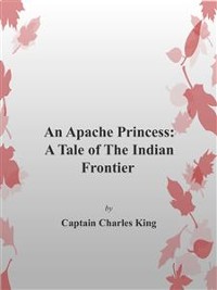 Cover An Apache Princess: A Tale of the Indian Frontier