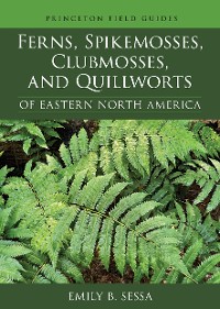 Cover Ferns, Spikemosses, Clubmosses, and Quillworts of Eastern North America