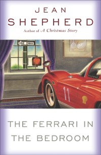 Cover Ferrari in the Bedroom