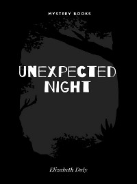 Cover Unexpected Night
