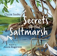 Cover Secrets of the Saltmarsh