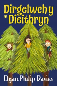Cover Dirgelwch y Dieithryn