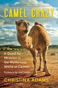 Cover Camel Crazy