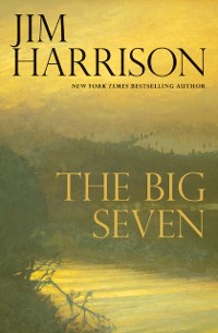 Cover Big Seven