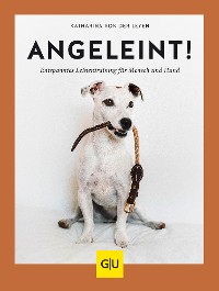 Cover Angeleint!