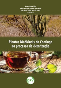 Cover Plantas medicinais da caatinga no processo de cicatrização