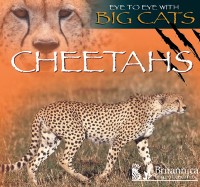 Cover Cheetahs