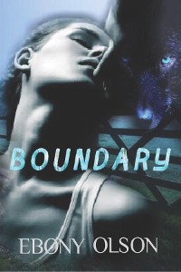 Cover Boundary