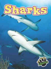 Cover Sharks
