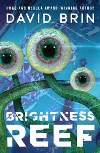 Cover Brightness Reef