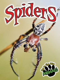 Cover Spiders