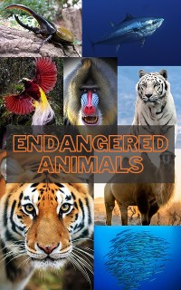 Cover Endangered Animals