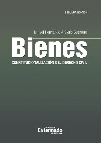 Cover Bienes: constitucionalización del derecho civil