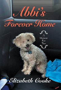 Cover Abbi’S Forever Home