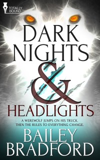 Cover Dark Nights and Headlights