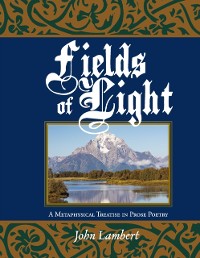 Cover Fields of Light