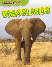 Cover Grasslands