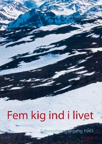 Cover Fem kig ind i livet