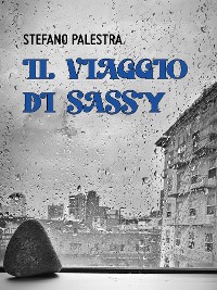Cover Il Viaggio Di Sassy