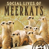 Cover Social Lives of Meerkats