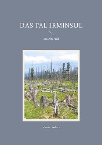 Cover Das Tal Irminsul