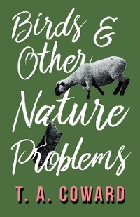 Cover Bird and Other Nature Problems