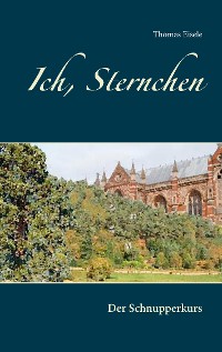 Cover Ich, Sternchen