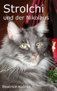 Cover Strolchi und der Nikolaus