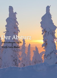 Cover Der Absturz