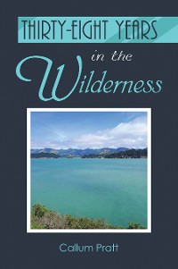 Cover Thirty-eight Years in the Wilderness