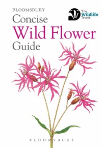 Cover Concise Wild Flower Guide