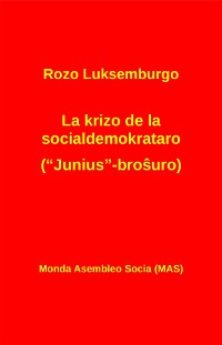 Cover La krizo de la socialdemokrataro ("Junius"-broŝuro): Kun Lenino