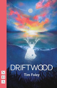 Cover Driftwood (NHB Modern Plays)