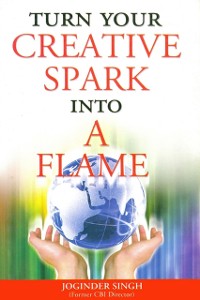 Cover Turn Your Creative Spark into a Flame