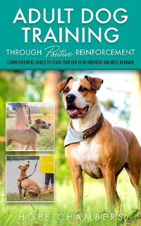Cover Adult Dog Training Through Positive Reinforcement