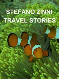 Cover Travel stories