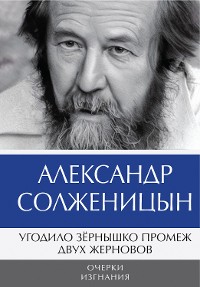 Cover Угодило зёрнышко промеж двух жерновов. Очерки изгнания