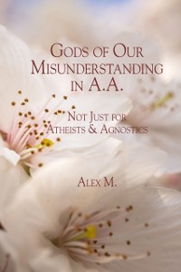 Cover Gods of Our Misunderstanding in A.A.