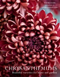 Cover Chrysanthemums