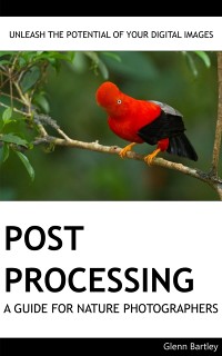 Cover Post Processing: A Guide For Nature Photographers