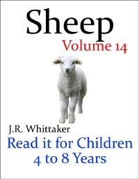 Cover Sheep (Read It Book for Children 4 to 8 Years)