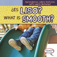 Cover Es liso? / What Is Smooth?