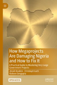Cover How Megaprojects Are Damaging Nigeria and How to Fix It