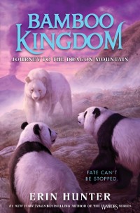 Cover Bamboo Kingdom #3: Journey to the Dragon Mountain