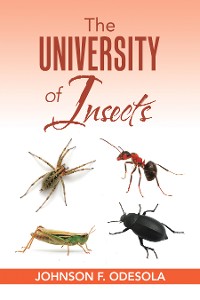 Cover The University of Insects