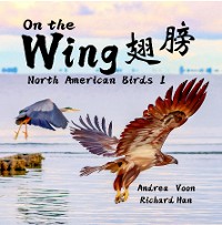 Cover On The Wing - North American Birds 1