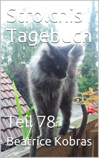 Cover Strolchis Tagebuch - Teil 78